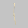 Knee with Fibula, Narrow Intercondylar Notch, and Four Non-Stretch Ligaments, Full Length