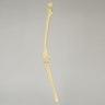Knee with Four Stretch Tube Ligaments, Full Length, Right