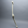 Knee for Hip Assembly #1301-165-1, Full Length, Right