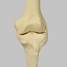 Knee for Hip Assembly #1301-165-1, Full Length, Left