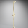 Knee with Three Stretch Tube Ligaments and Narrow Femoral Canal, Full Length