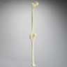 Knee with Three Stretch Tube Ligaments and Narrow Femoral Canal, Full Length