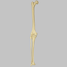 Knee with Fibula and Four Non-Stretch Ligaments, Full Length