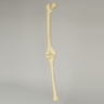 Knee with Three Non-Stretch Ligaments, Full Length, Large