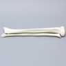 Tibia and Fibula, Foam Cortical, Left