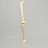 Full Leg with Foam Cortical Shell Femur and Tibia