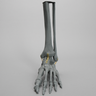 Foot and Ankle, Radiopaque