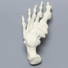 Foot, Solid Foam, Left, One-Piece Construction