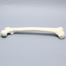 Femur with 17 mm Trochanteric Entry Site For IM Nail