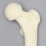 Femur with 9 mm Canal, Foam Cortical, Left
