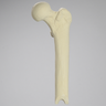 Femur with Osteotomy, Proximal, Foam Cortical Shell