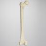 Stryker Femur for Exeter Plug and Stem