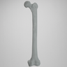 Femur, Radiopaque, Left