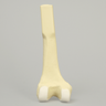 Femur with Cartilage, Distal