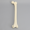 Femur, 16 mm Canal, Foam Cortical, Left