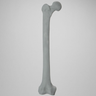 Femur, Radiopaque, Right