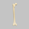 Femur, 16 mm Canal, Solid Foam, Left