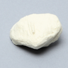 Patella, Solid Foam, Right
