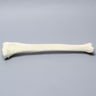 Tibia for High Tibial Osteotomy H.T.O.