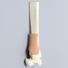 Tibia with Skin Patch and Talus
