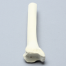 Tibia, Distal, Solid Foam, Left