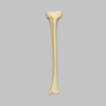 Tibia with 12.7 mm Canal, Solid Foam, Left, Large