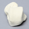 Talus, Solid Foam, Right