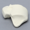 Talus, Solid Foam, Left