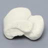 Talus, Solid Foam, Left