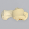 Talus and Calcaneus, Talocalcaneal Joint, Solid Foam