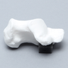 Calcaneus, Solid White Plastic, Left