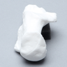 Calcaneus, Solid White Plastic, Left