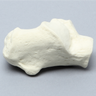 Calcaneus, Solid Foam, Right
