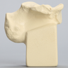Calcaneus, High Density, Foam Cortical, Left