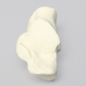 Calcaneus, Foam Cortical, Left