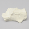 Calcaneus, Foam Cortical, Left