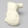 Calcaneus, Foam Cortical, Left