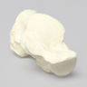 Calcaneus, Foam Cortical, Left
