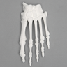 Forefoot, Solid White Plastic, Left, Large