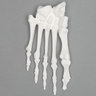 Forefoot, Solid White Plastic, Left, Large