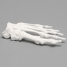 Forefoot, Solid White Plastic, Left, Large