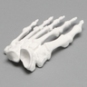 Forefoot, Solid White Plastic, Left, Large