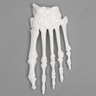 Forefoot, Solid White Plastic, Left, Large