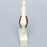 Metatarsal with Articulation and Ligaments, Solid Foam, Left