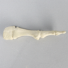 Metatarsal, First, Solid Foam, Right, Large