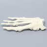 Forefoot, Solid Foam, Right, Large