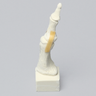 Metatarsal with Articulation, Solid Foam, Left