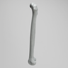 Femur, Radiopaque, Left, Medium