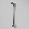 Femur, Radiopaque, Left, Medium