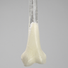 Femur with 9 mm Canal, Transparent, Left, Small